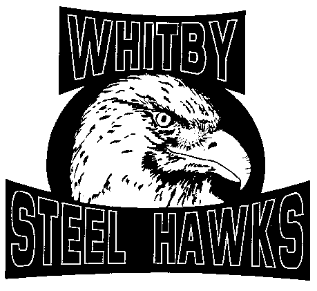 Steel Hawk Logo